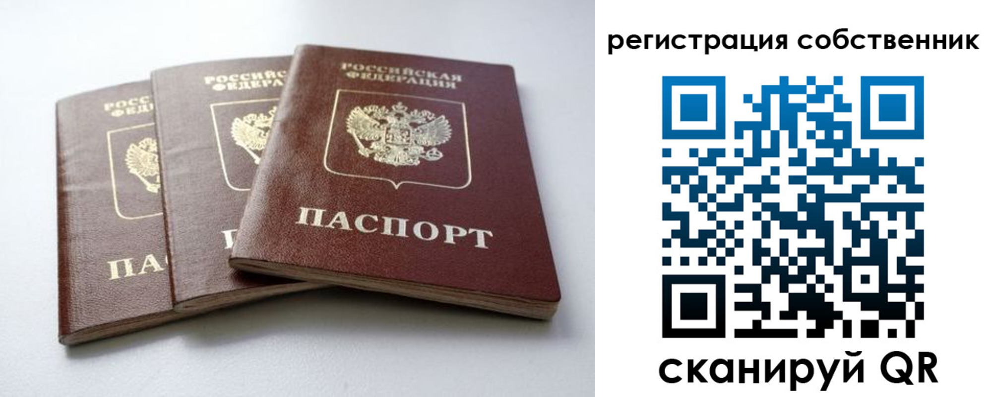 прописка для школы в Котово